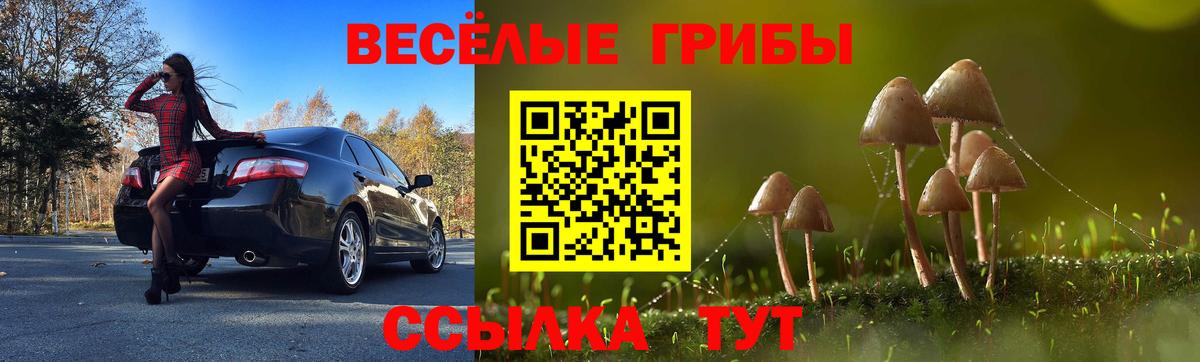 Гурьевск  Галлюциногенные грибы ЛСД  Вход с VPN 
